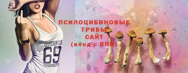 стафф Алексин