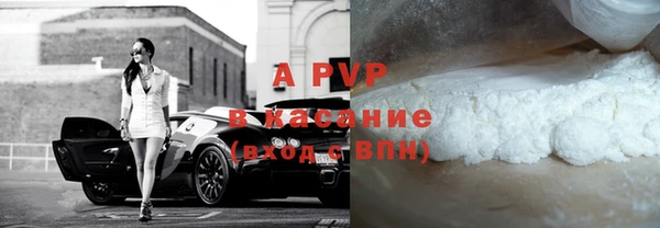 стафф Алексин